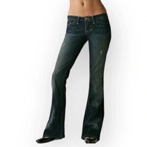 William Rast Savoy Regular  Rise Flare Jeans 29